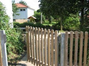 IMG0676